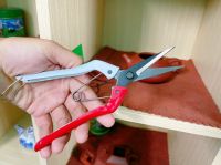 Kéo tỉa lá, chi răm bonsai Đài Loan Trắng Đỏ