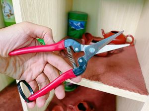 Kéo tỉa lá, chi răm bonsai ARS thép đen 300L 190 mm