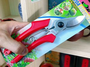 Kéo cắt cành Buddy cán đỏ 200 mm