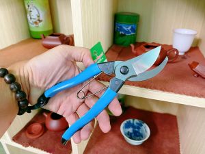 Kéo cắt cành Kenshou 200mm Nội Địa Nhật Bản